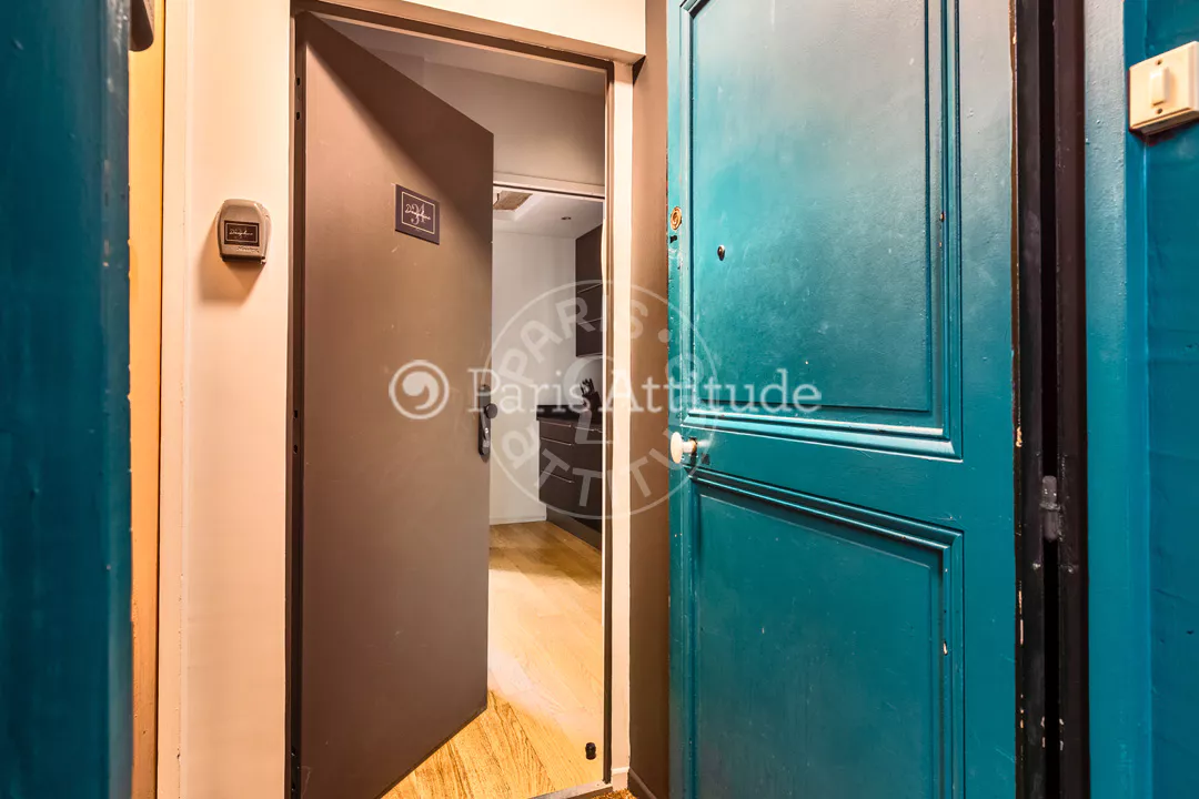 Flat Rue Dauphine in Paris