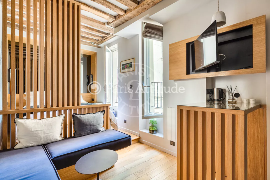 Flat Rue Dauphine in Paris