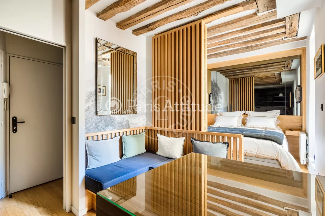 Flat Rue Dauphine in Paris
