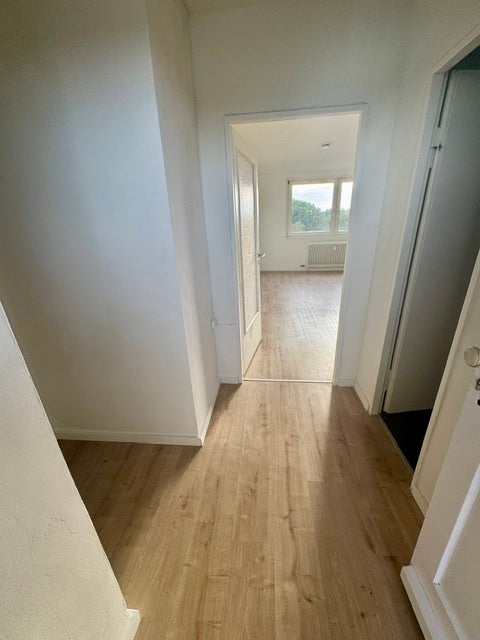 Wohnung Fridtjof-Nansen-Straße in Delmenhorst