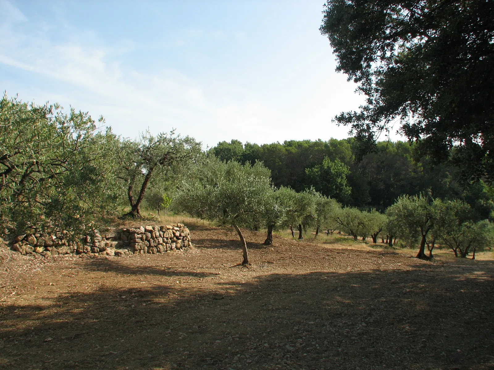 Chambre Chemin de Villeneuve à Draguignan
