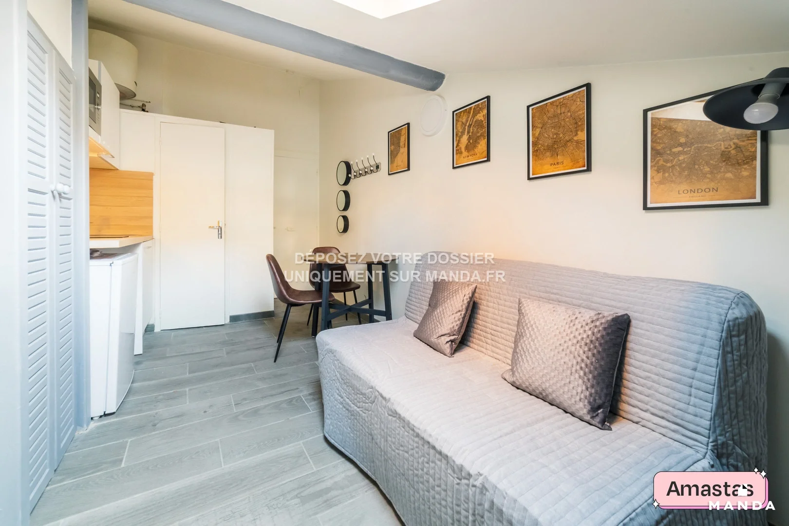 Flat Rue Louis Pasteur in Lyon
