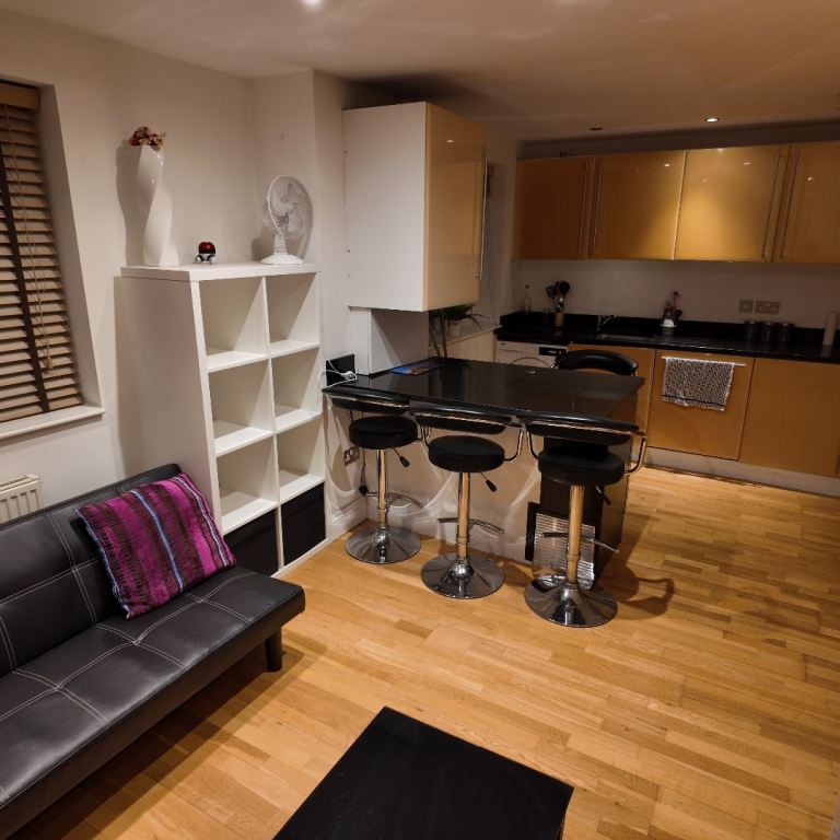 Flat Lower Richmond Road in Greater London