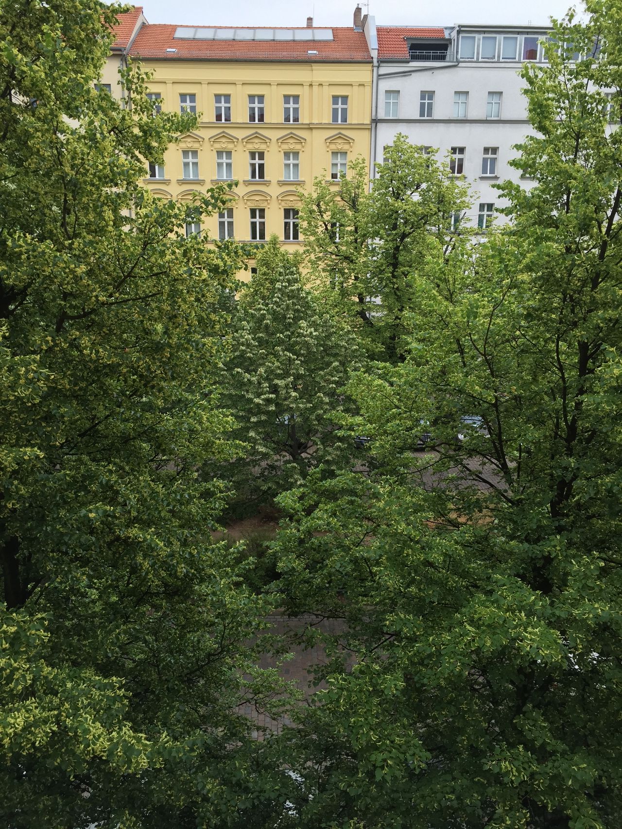 Wohnung Metzer Straße in Berlin