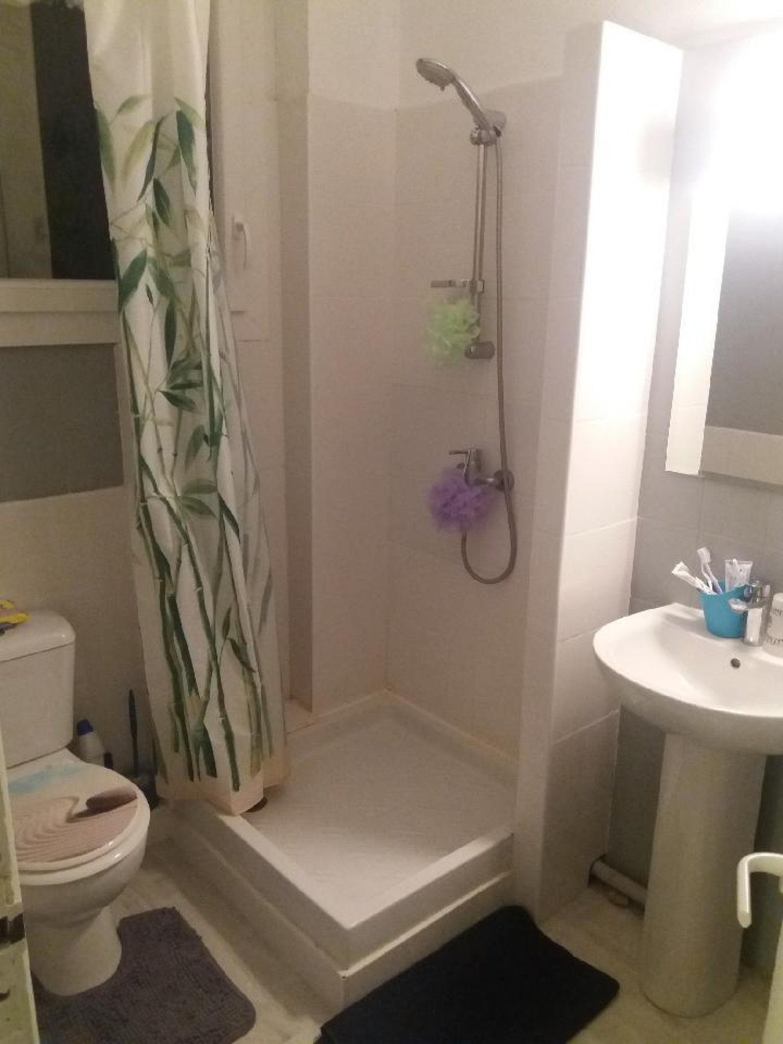 Appartement Rue des Érables à Toulouse