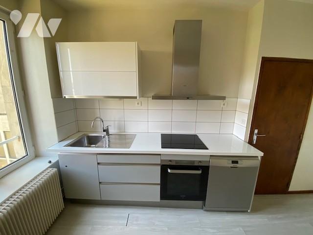 Appartement Rue du Docteur Grandjean à Nancy