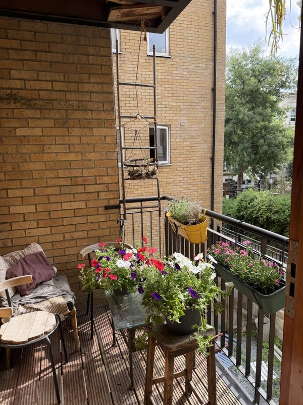 Room Victorian Grove in Greater London