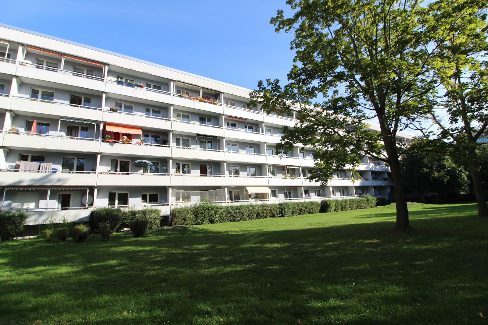 Wohnung Lilienstraße in Halle (Saale)