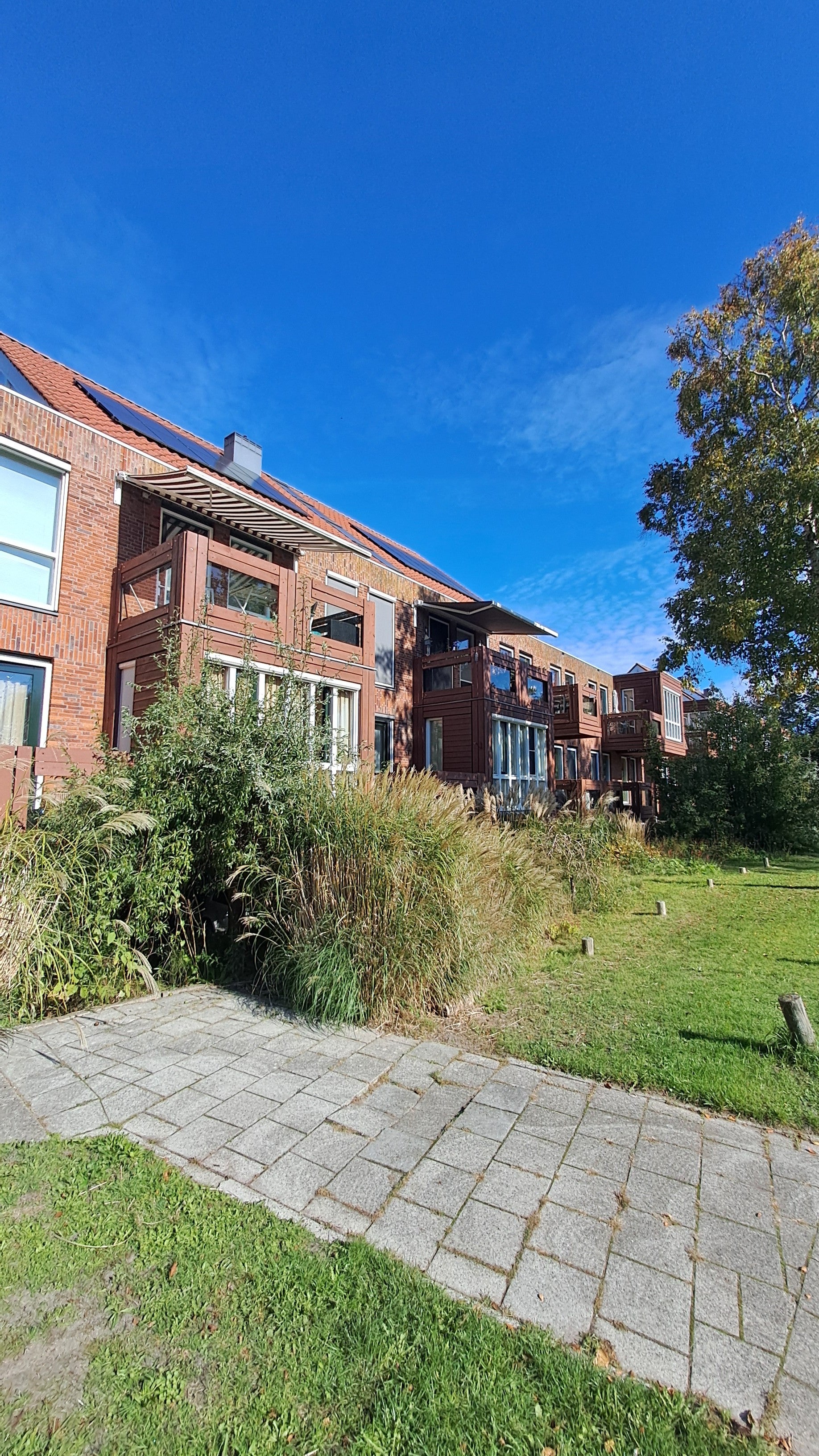 Appartement Zakedijkje 25 A in Bergen (nh)
