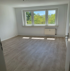 Wohnung Ingolstädter Straße in Halle (Saale)