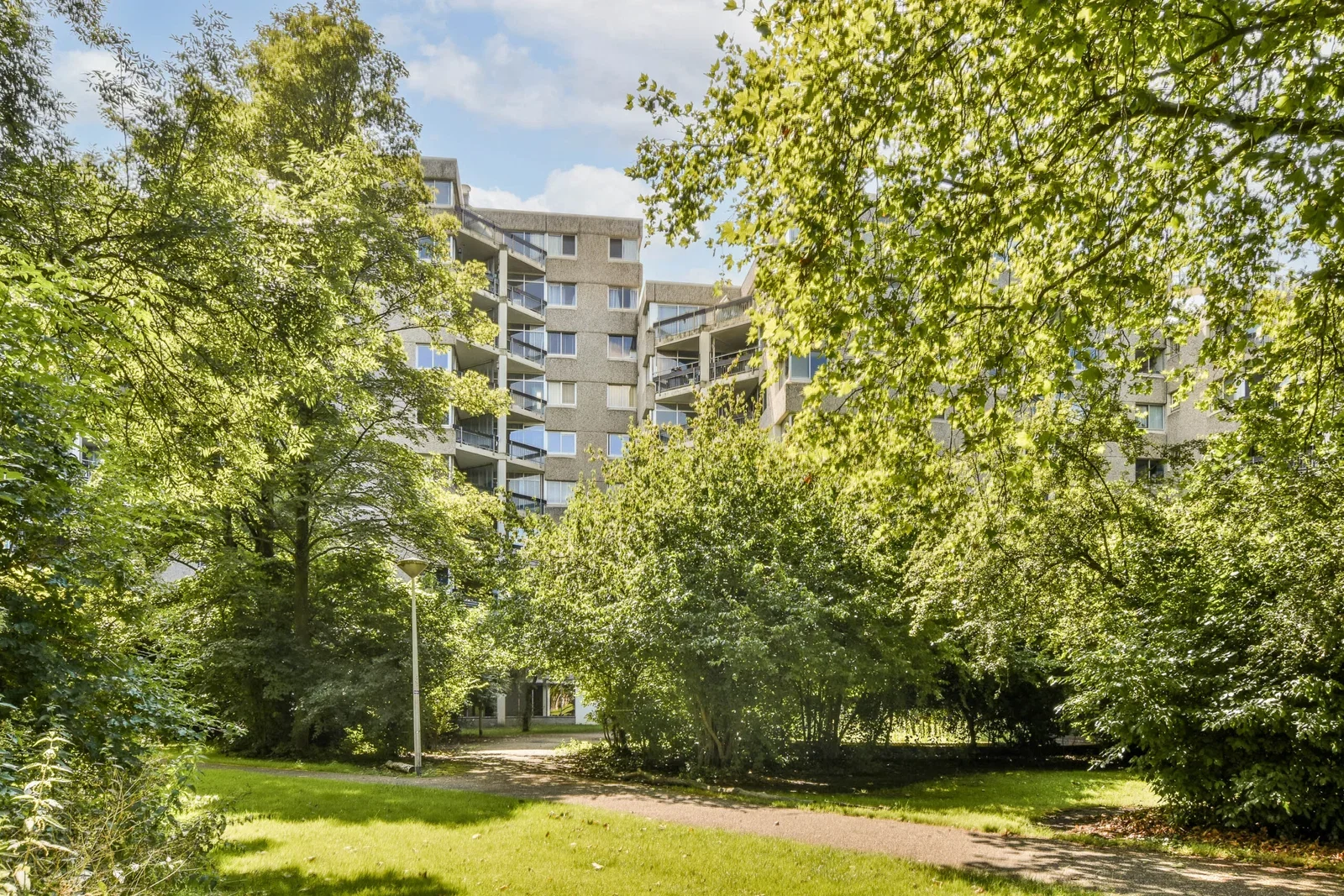 Groenhoven in Amsterdam