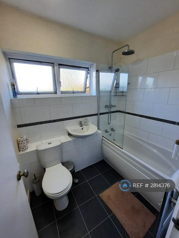 Flat Russet Grove in Norwich