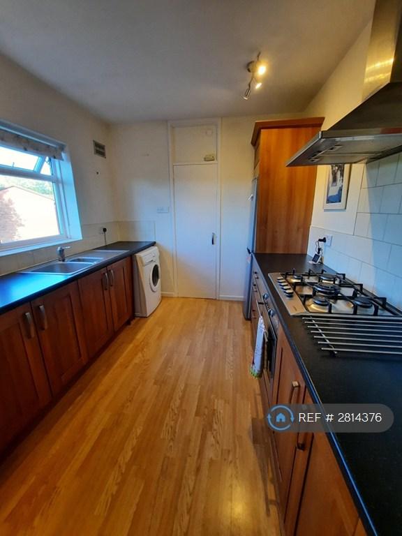 Flat Russet Grove in Norwich