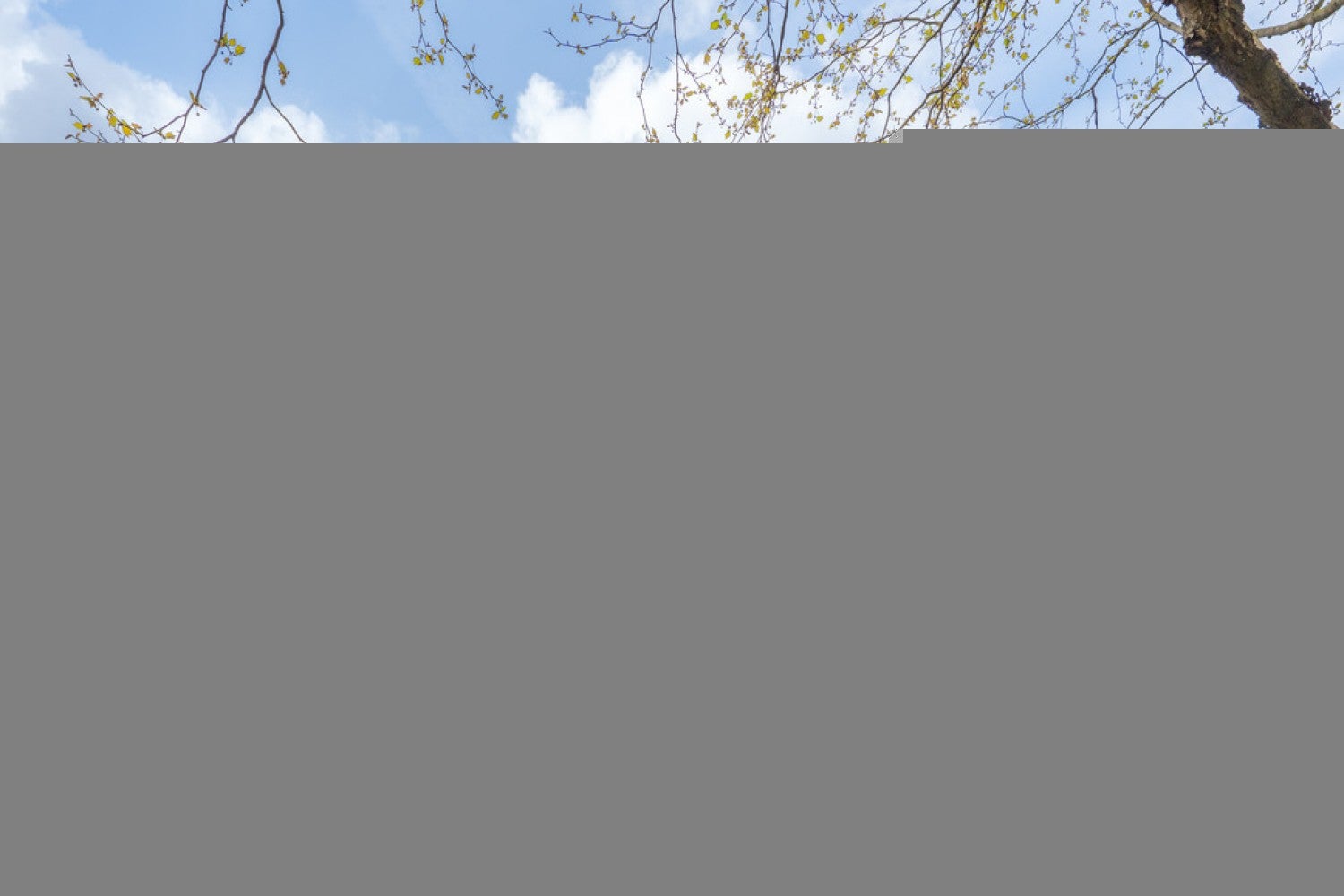 Flat Hortensia Road in Greater London