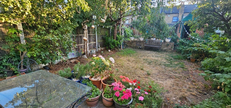 Room Hatherley Gardens in Greater London