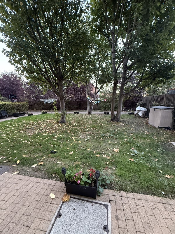 Flat Tooting Grove in Greater London