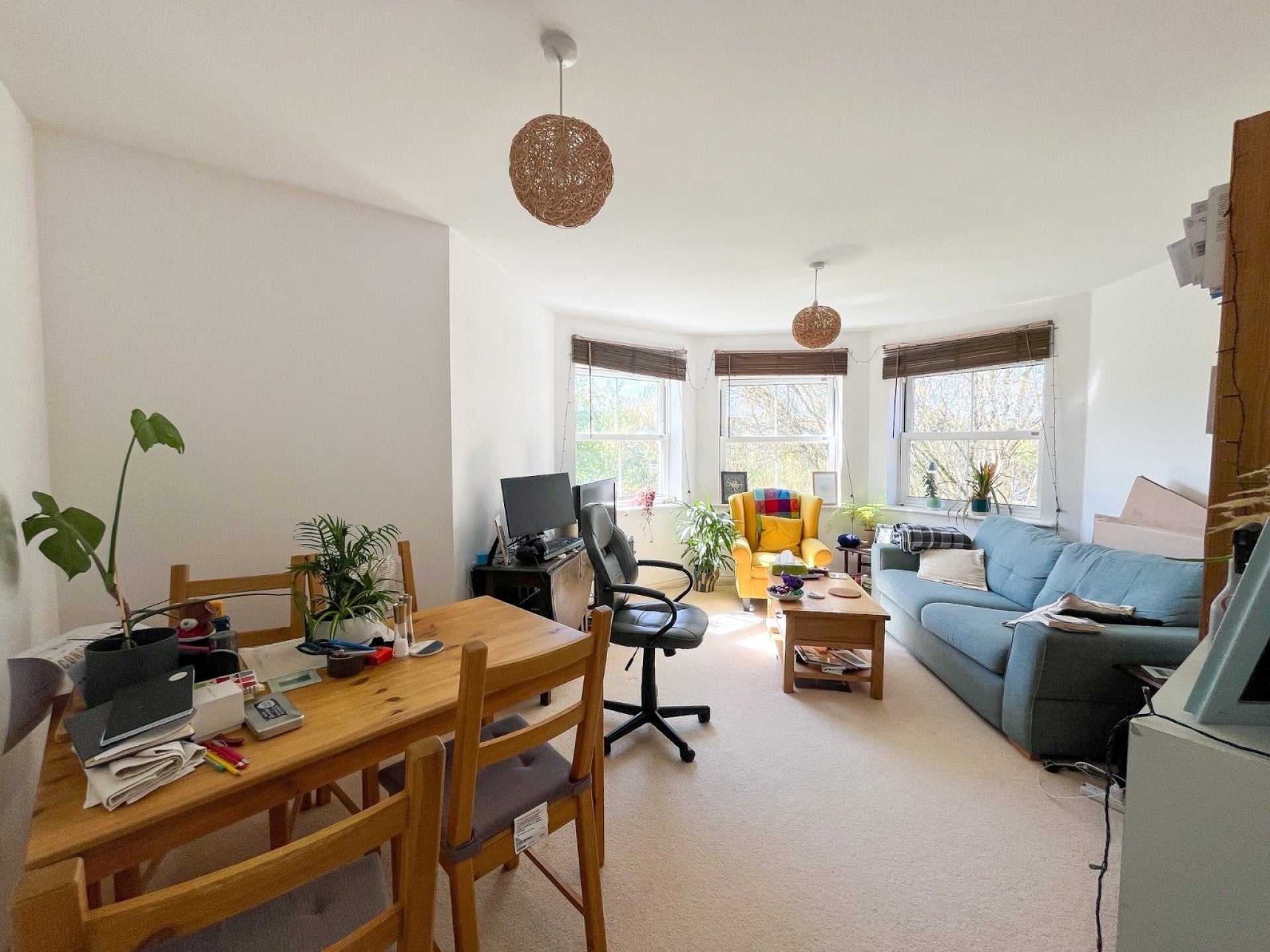 Flat Bramley Copse in Long Ashton