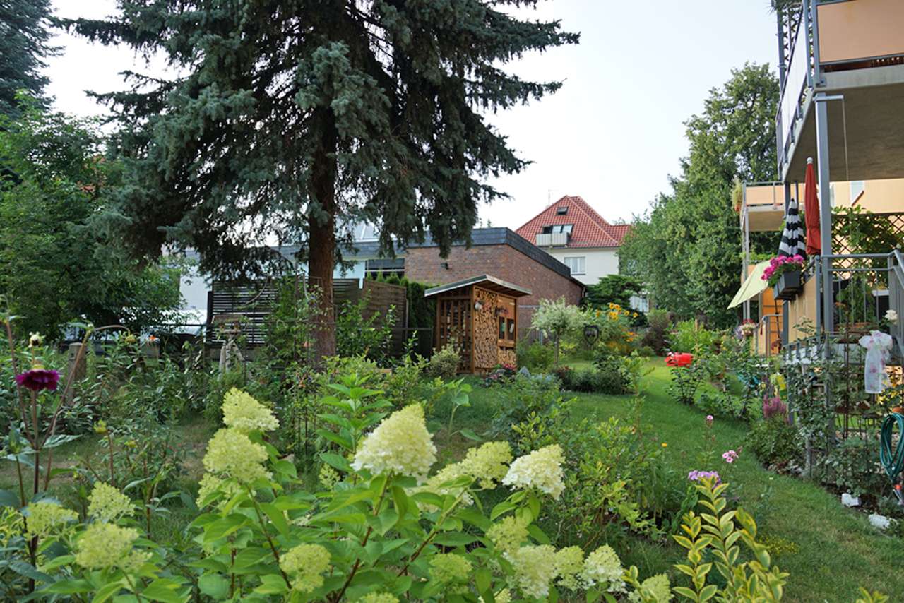 Wohnung Zieglerstraße in Dresden