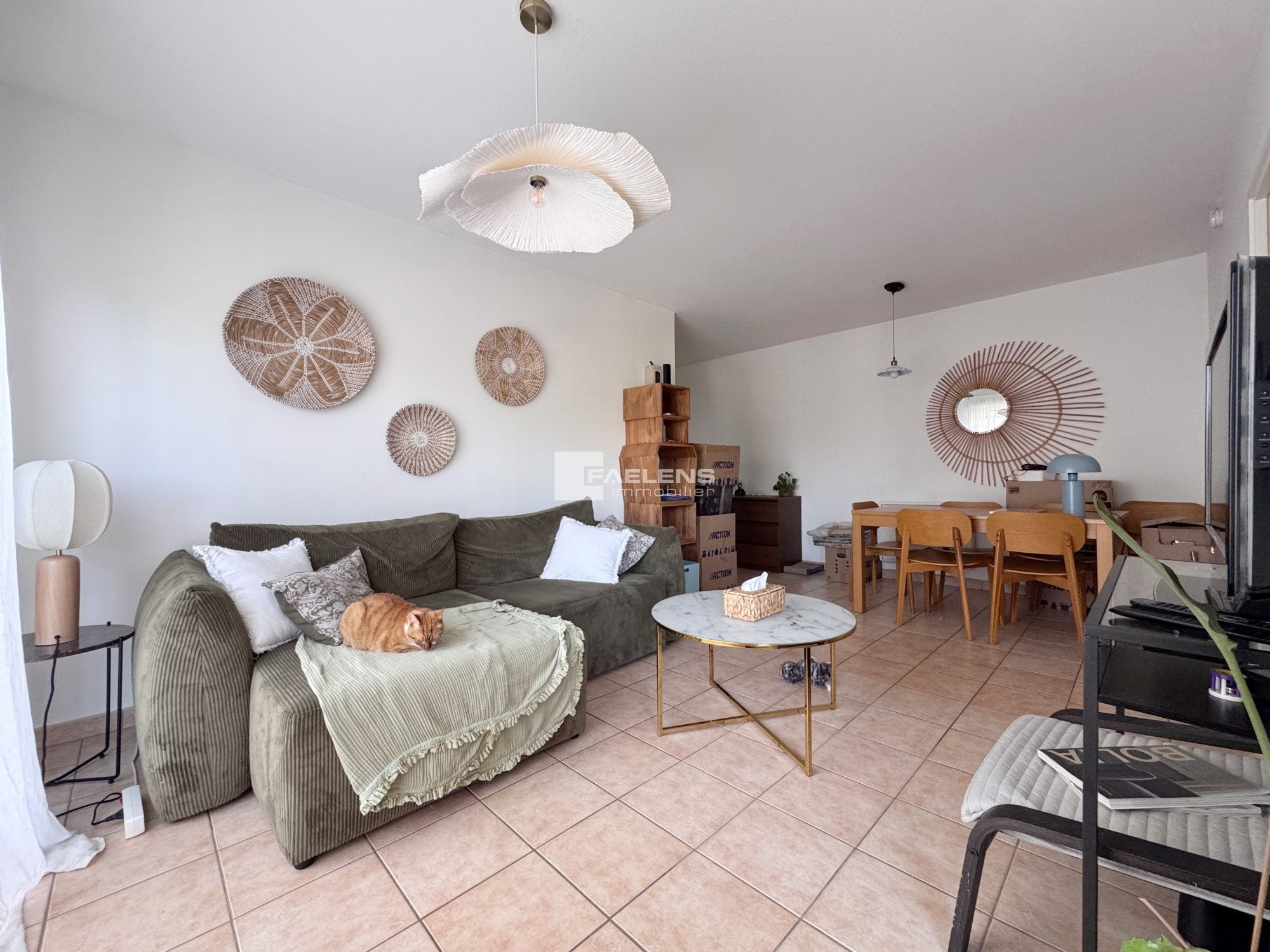 Appartement Rue Roger Salengro à Lille