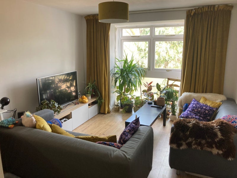 Flat Harriers Close in Greater London