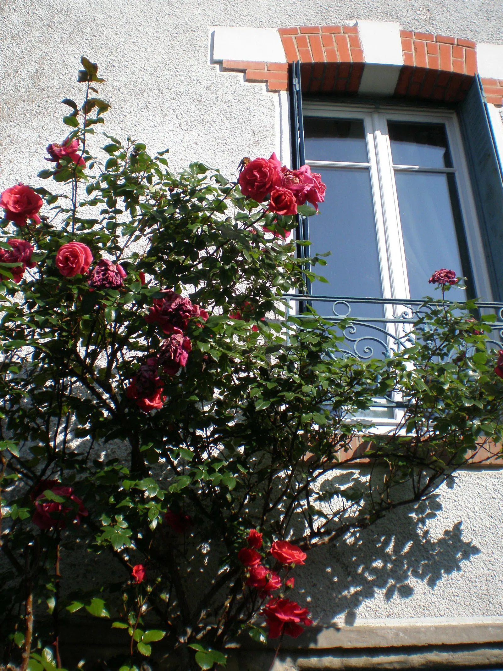 Chambre Passage Guillaume Lambert à Conflans-Sainte-Honorine