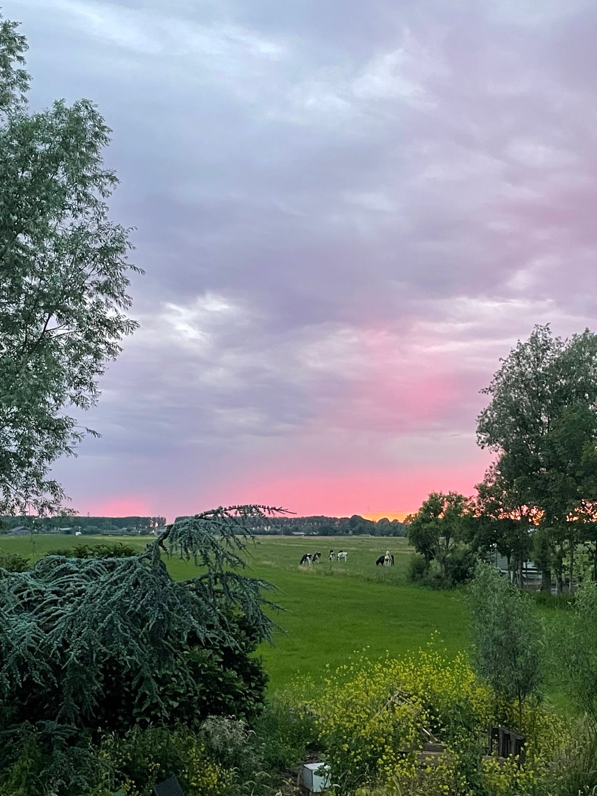 Woning te huur: Reeweg, Nederhorst Den Berg