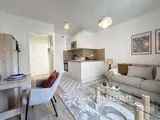 Flat Quai d'Issy-les-Moulineaux in Paris