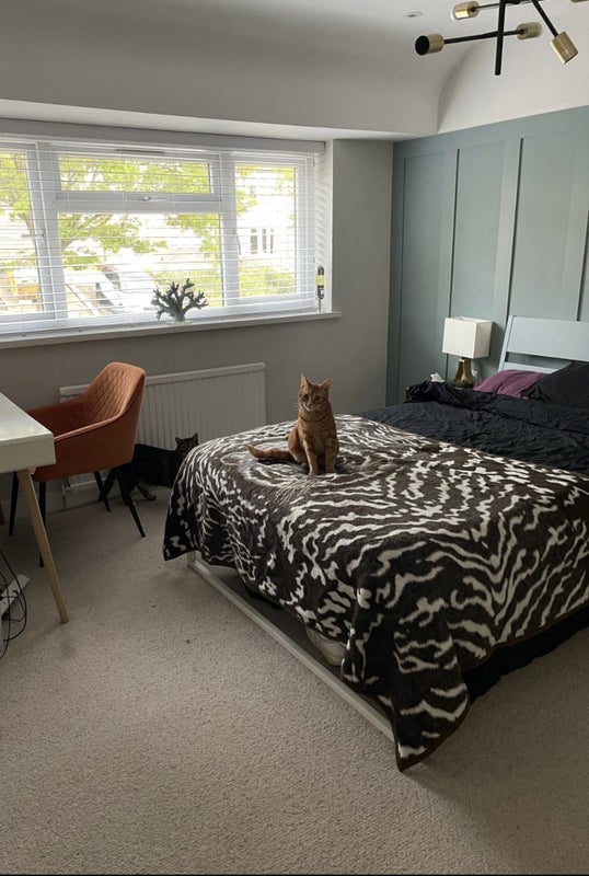 Room Beverley Gardens in Greater London