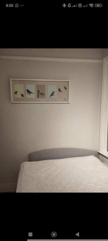 Room Chiswick High Road in Greater London