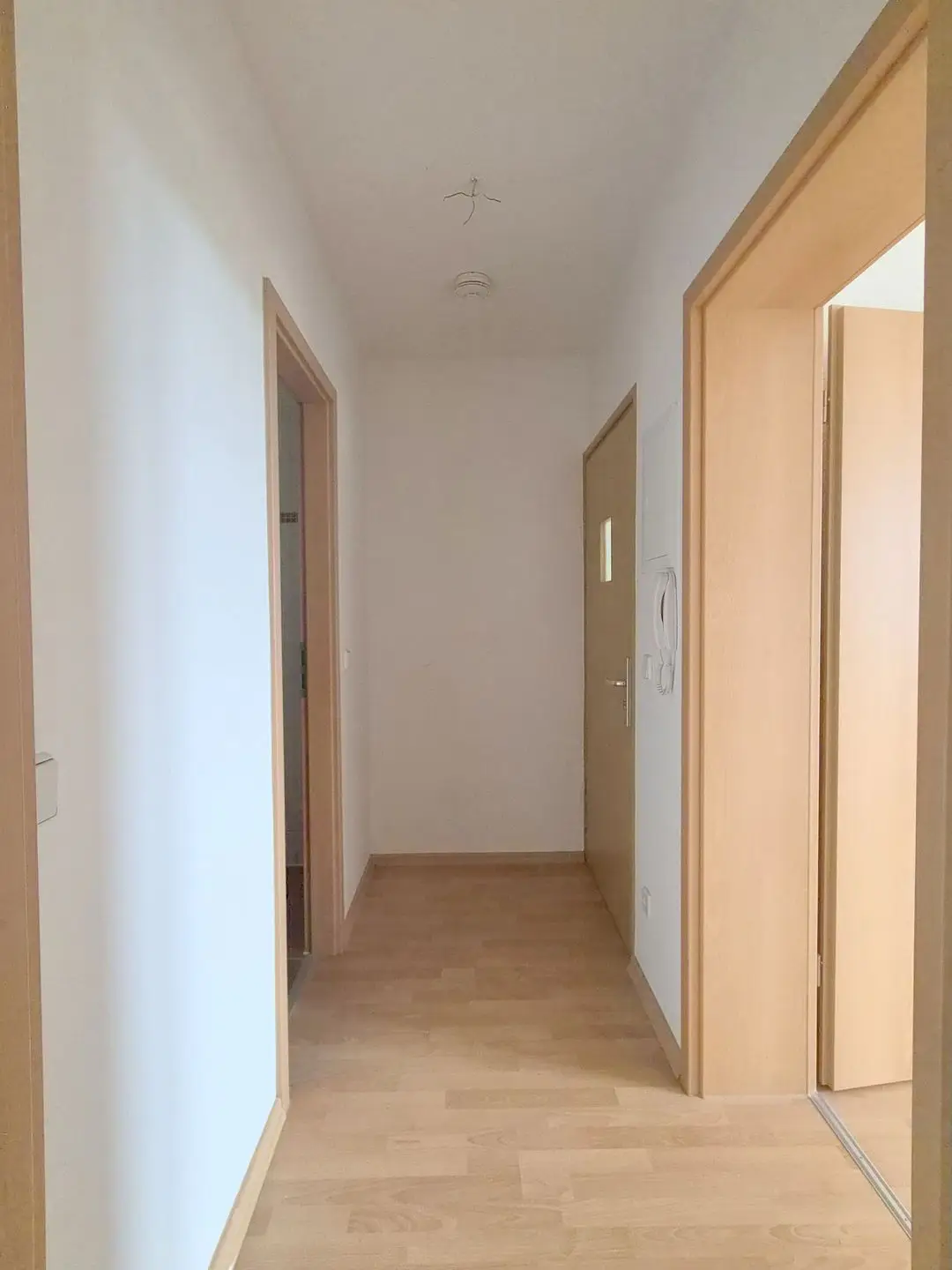 Wohnung Hofer Straße in Chemnitz