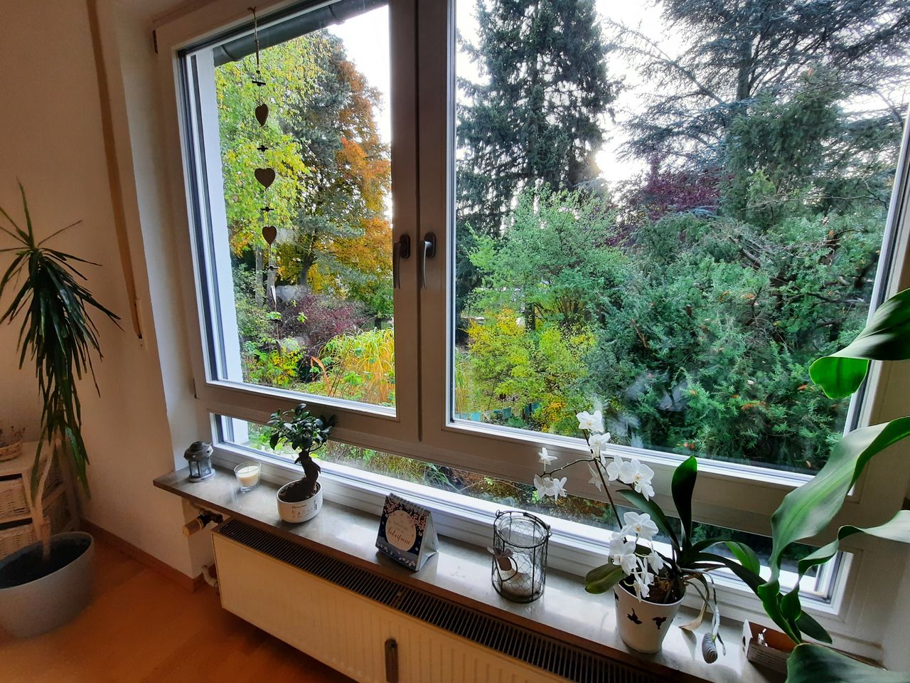 Zimmer Farnstraße in Nürnberg