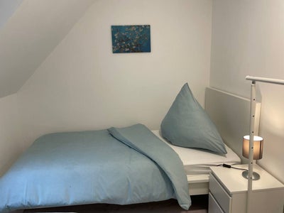 Wohnung Heidenauer Straße in Pirna