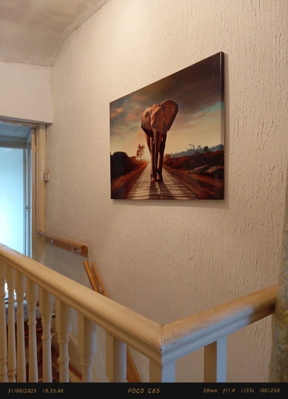 Room Rickards Street in Pontypridd