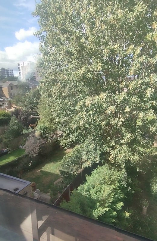 Flat Adamsrill Road in Greater London