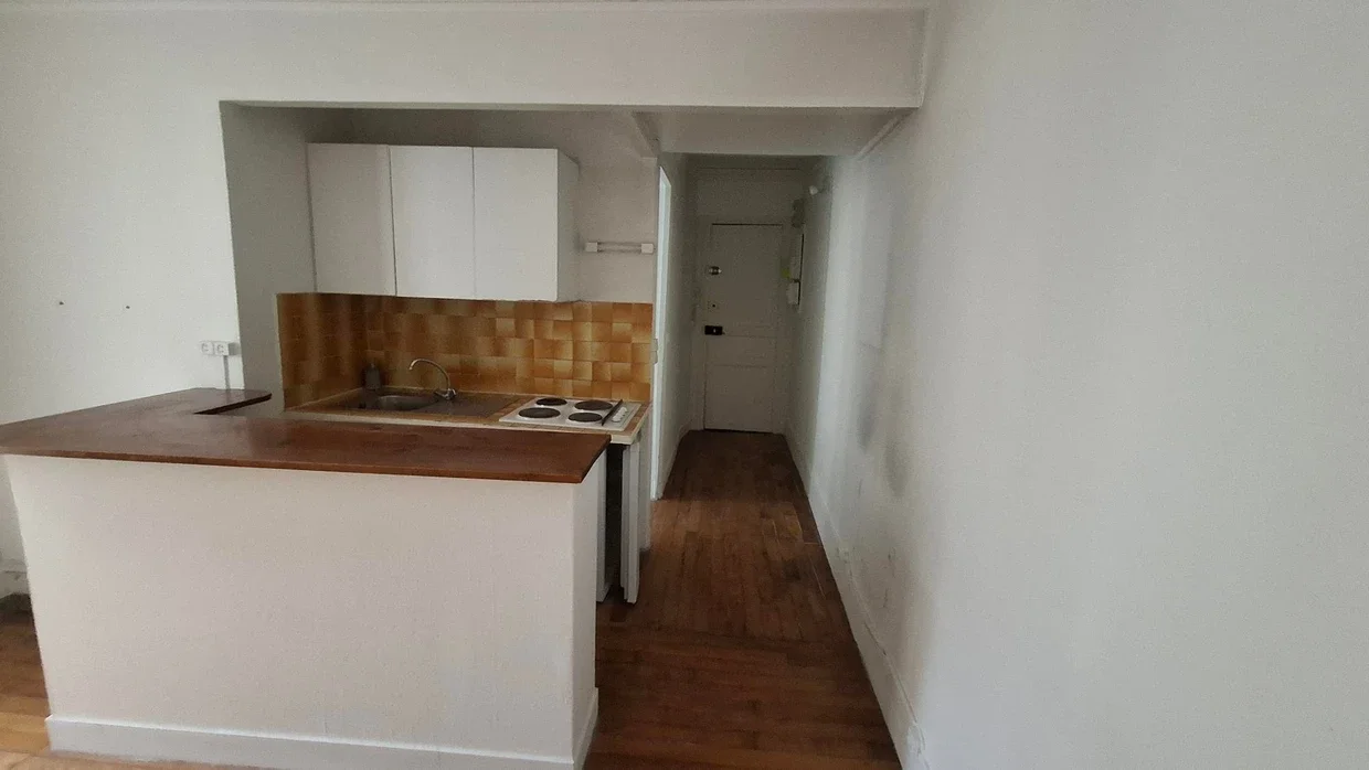 Flat Rue Pache in Paris