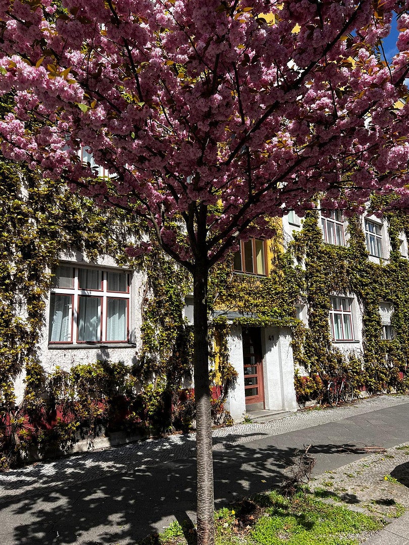 Wohnung Gudvanger Straße in Berlin