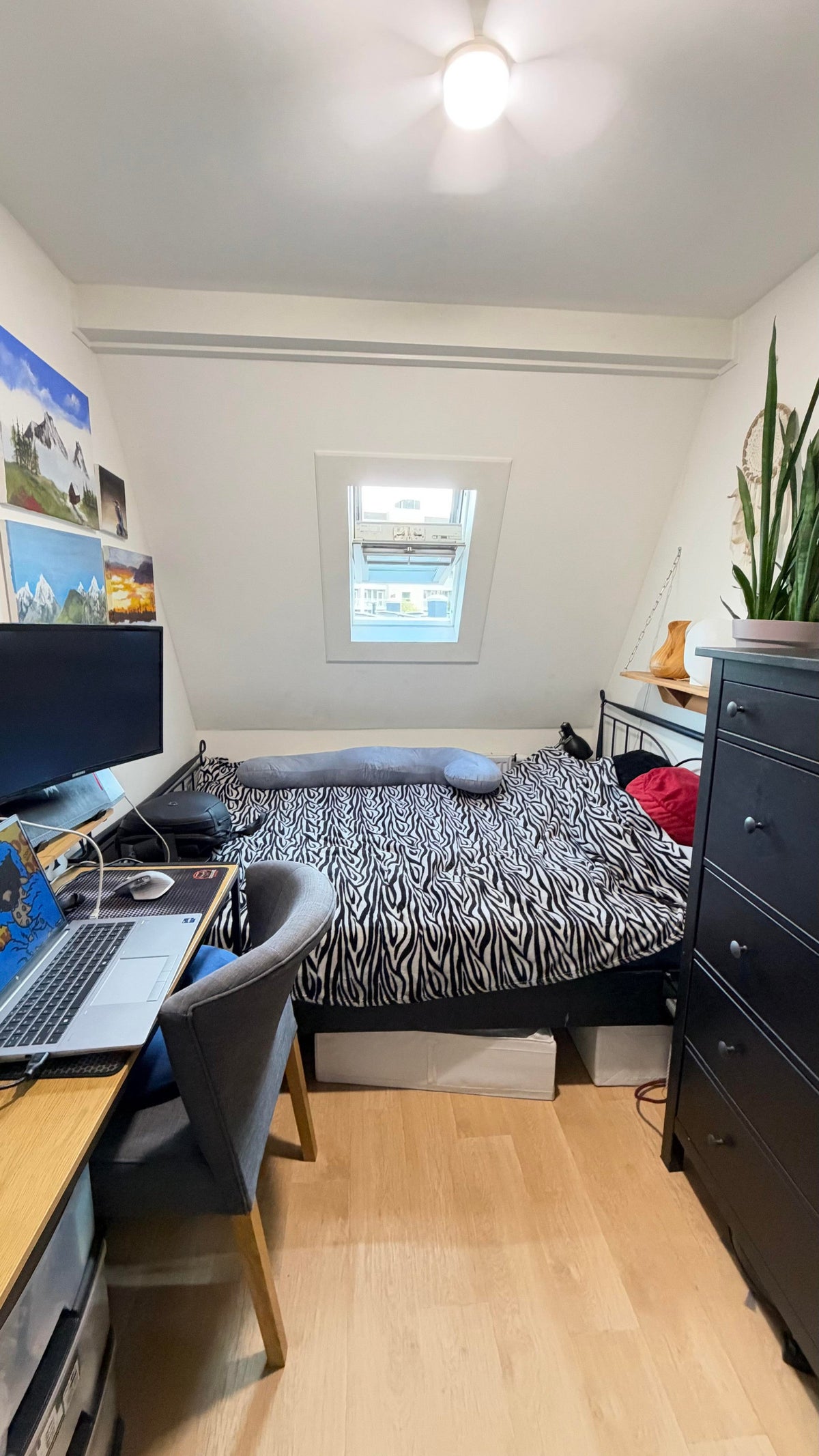 Appartement Willem Barentszstraat 10