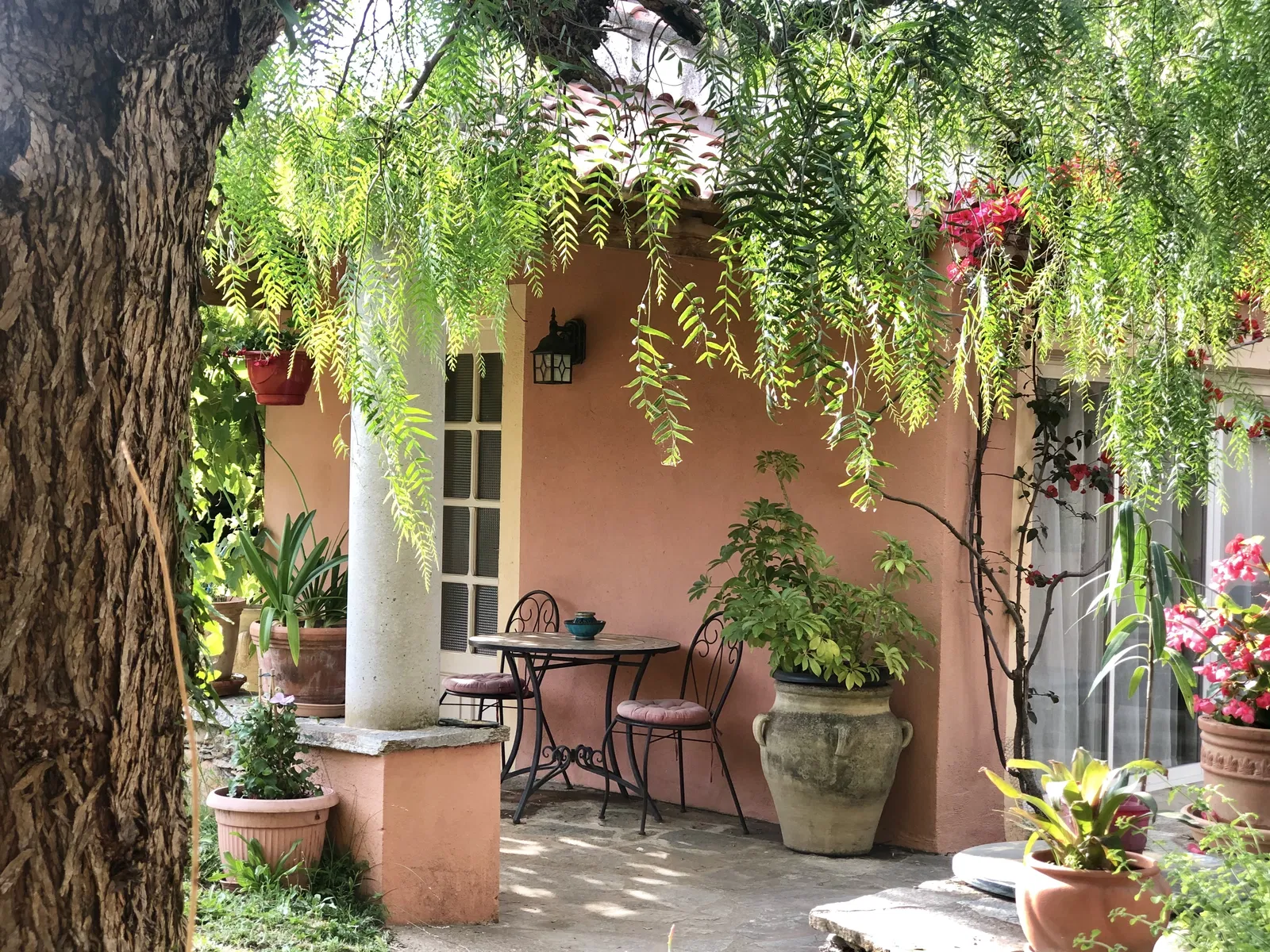 Appartement T 10 à Venzolasca