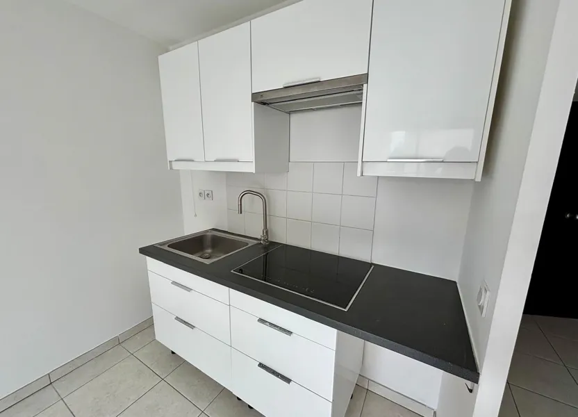 Appartement Cours Émile Zola à Villeurbanne