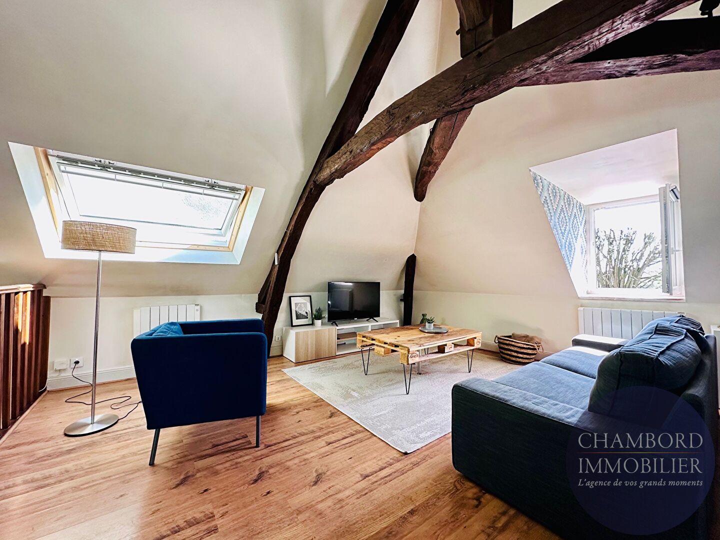 Appartement Quai Aristide Briand à Blois