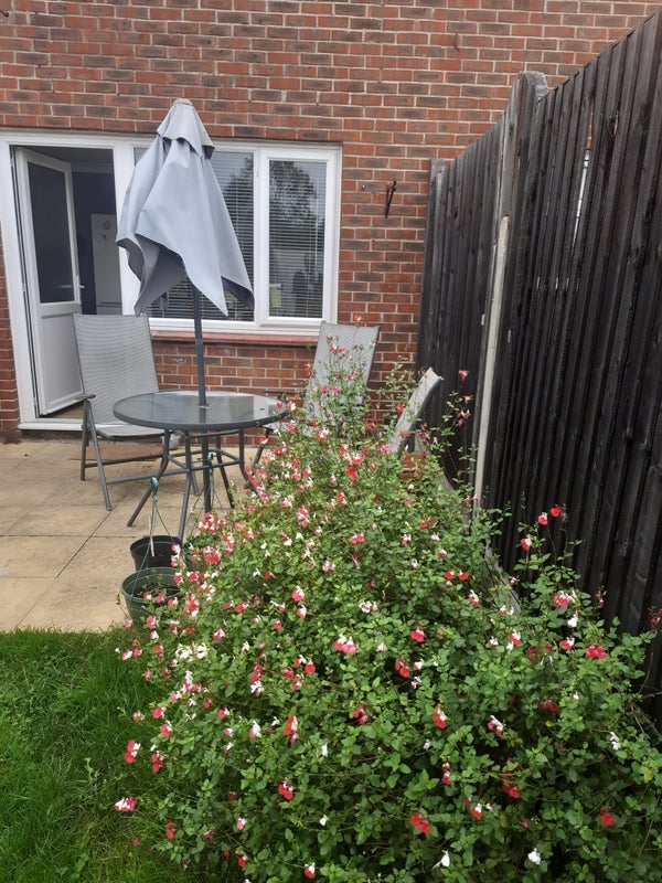 Room Samphire Close in Witham