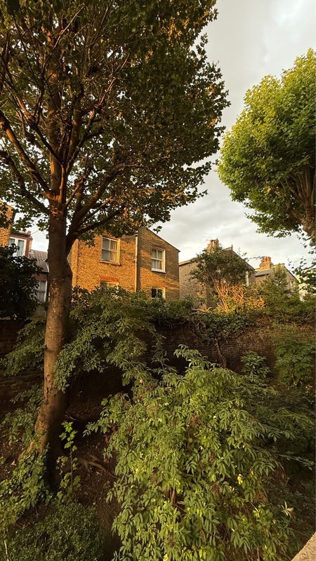 Room Kelvedon Road in Greater London