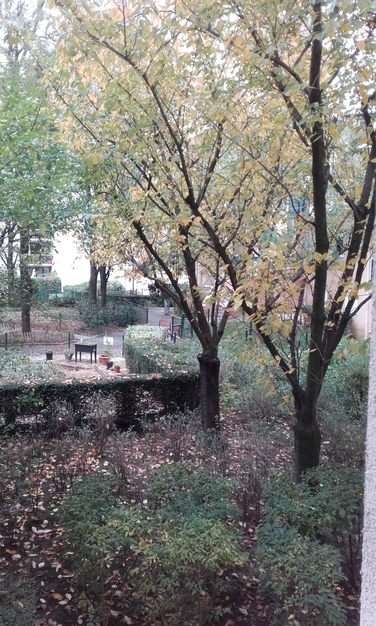 Chambre Rue Jean Jaurès à Vanves