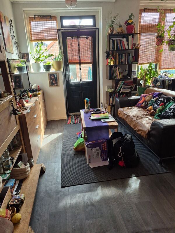 Appartement Zandpad in Maassluis