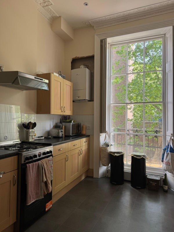 Room Torrington Square in Greater London
