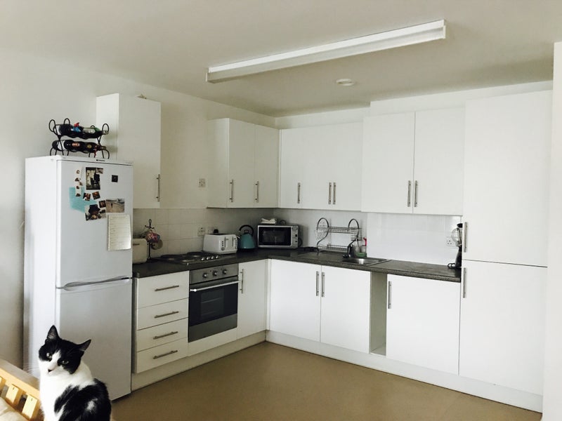 Room Triton Street in Greater London