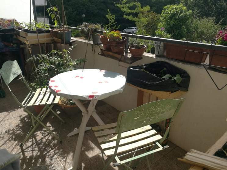 Room Rue André Vasseur in Toulouse