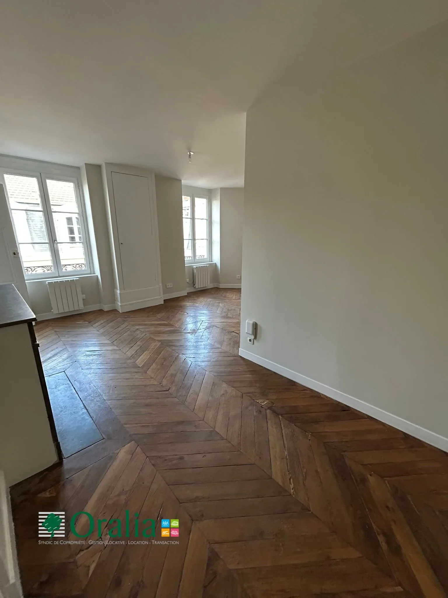 Flat Quai Tilsitt in Lyon