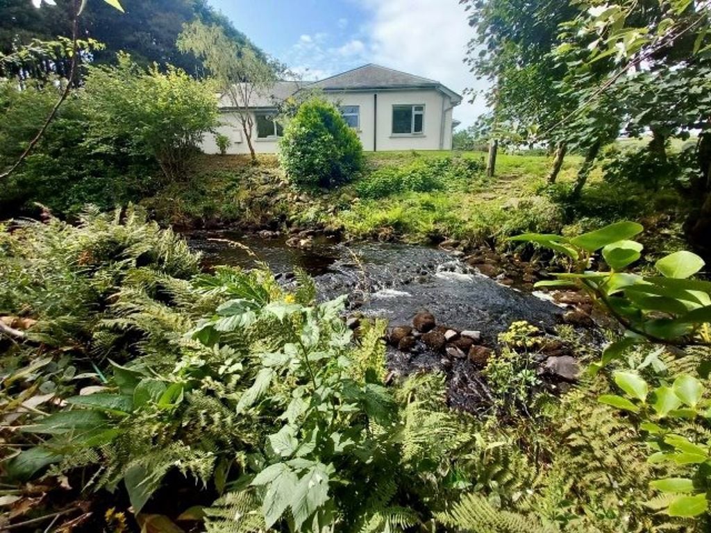 House Buller Street in Pen Tranch