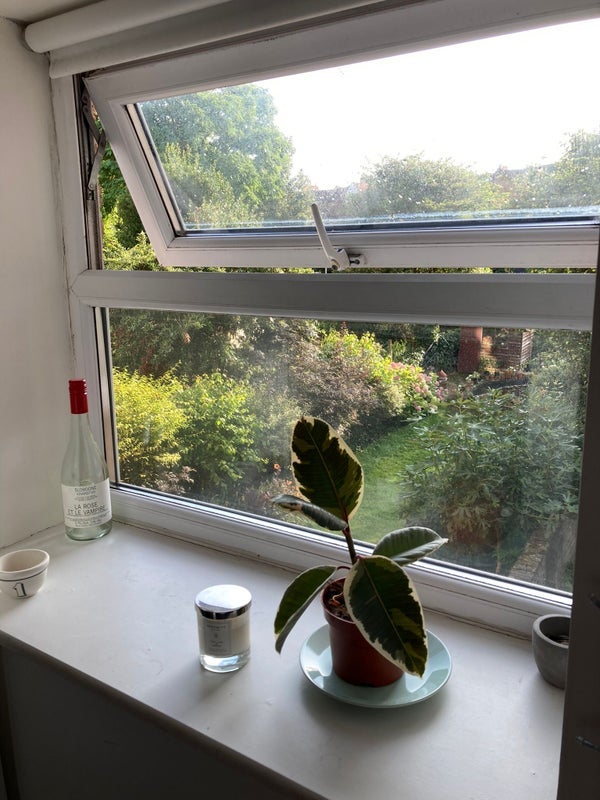 Room Jenner Road in Greater London